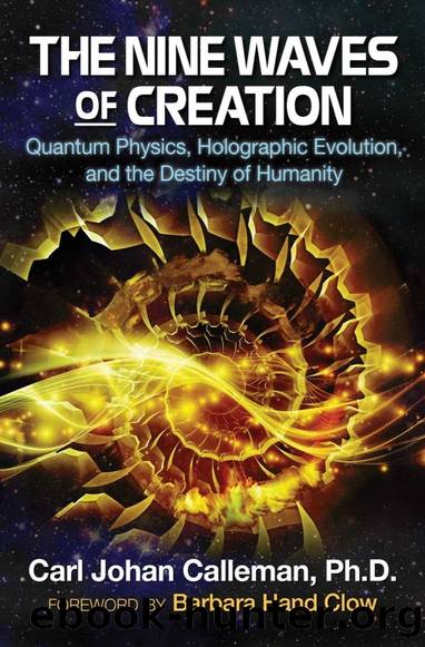 The Nine Waves of Creation: Quantum Physics, Holographic Evolution, and the Destiny of Humanity by Carl Johan Calleman