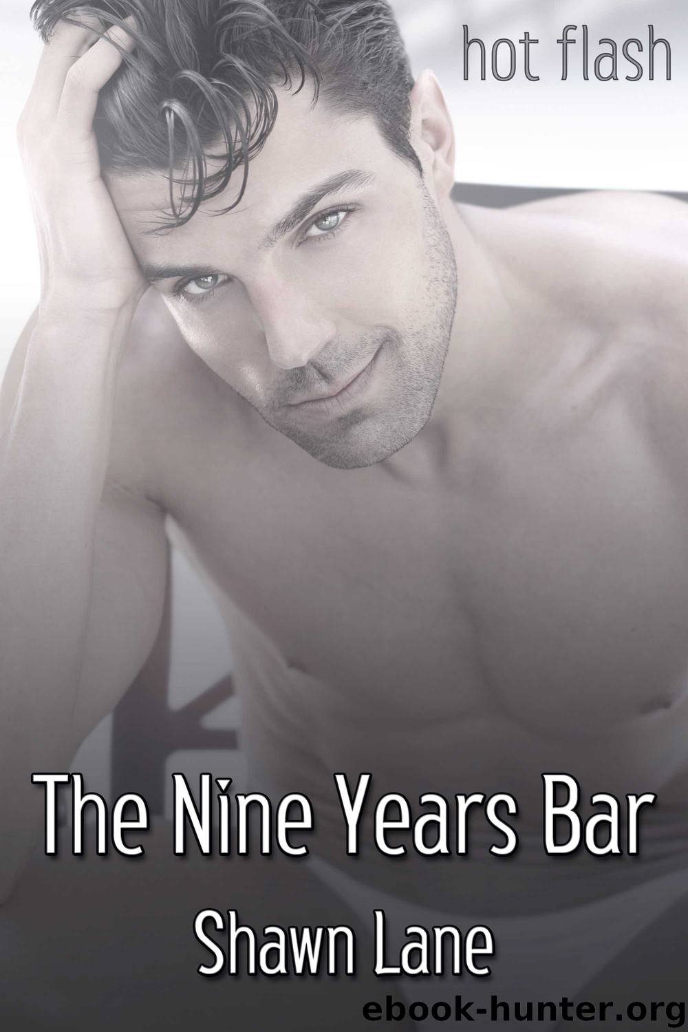 The Nine Years Bar by Shawn Lane