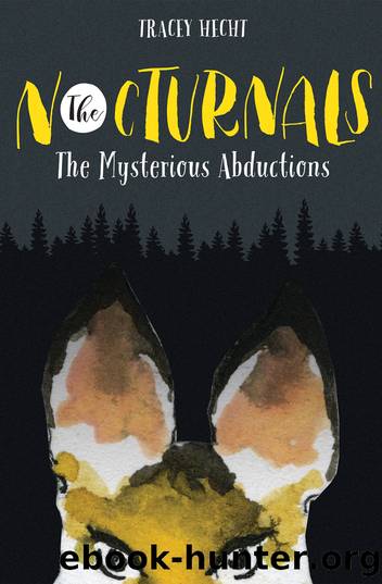 The Nocturnals by Tracey Hecht