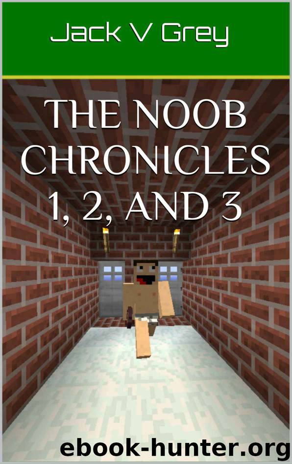 The Noob Chronicles 1, 2, and 3 by Grey Jack V & Martian Bob