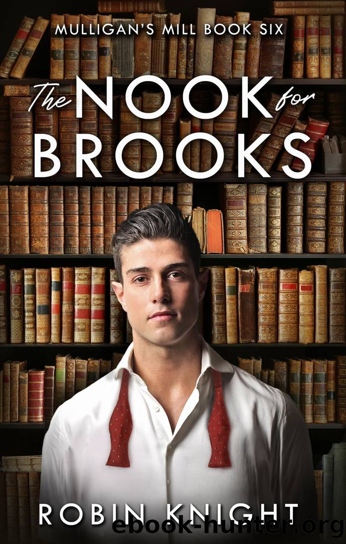 The Nook for Brooks (Mulligan's Mill Book 6) by Robin Knight
