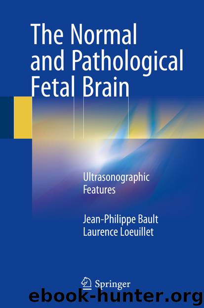 The Normal and Pathological Fetal Brain by Jean-Philippe Bault & Laurence Loeuillet