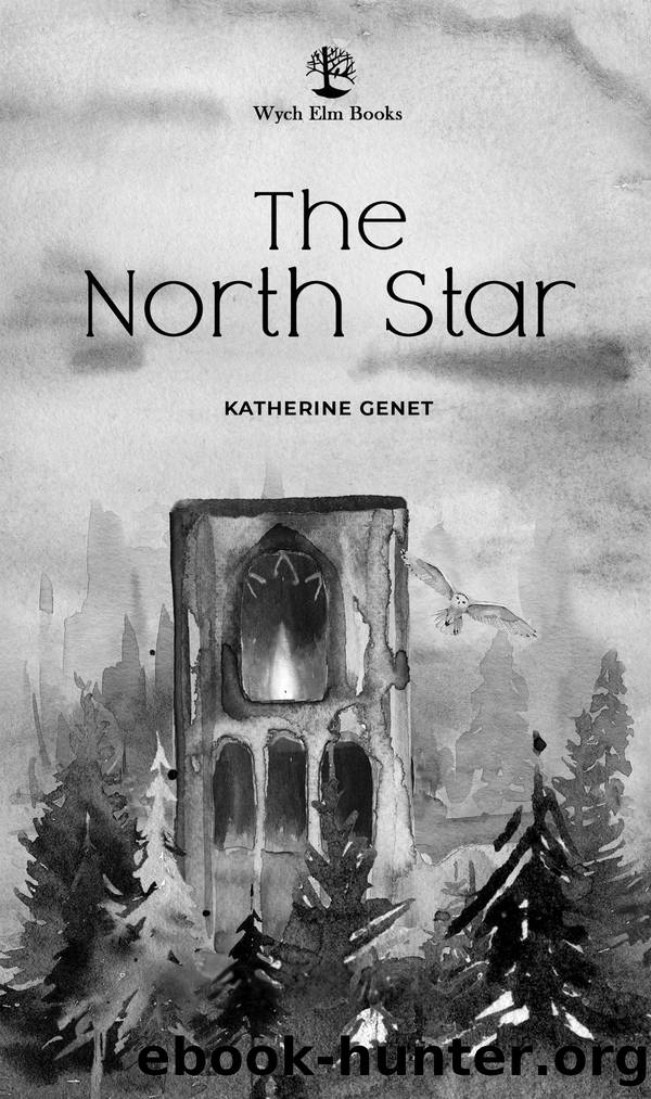 The North Star by Katherine Genet