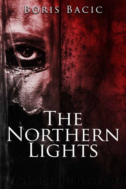 The Northern Lights (Bite-sized Horror Stories Book 3) by Boris Bacic