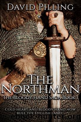 The Northman (The Bloody Hand Saga Book 1) by David Pilling