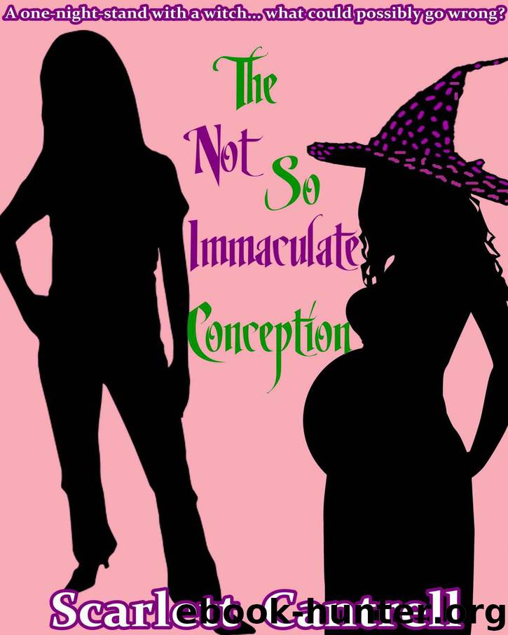 The Not So Immaculate Conception (The Magic Baby Series #1)
