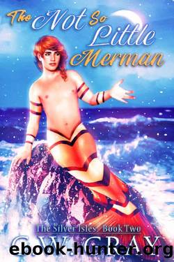 The Not So Little Merman (The Silver Isles Book 2) by C W Gray