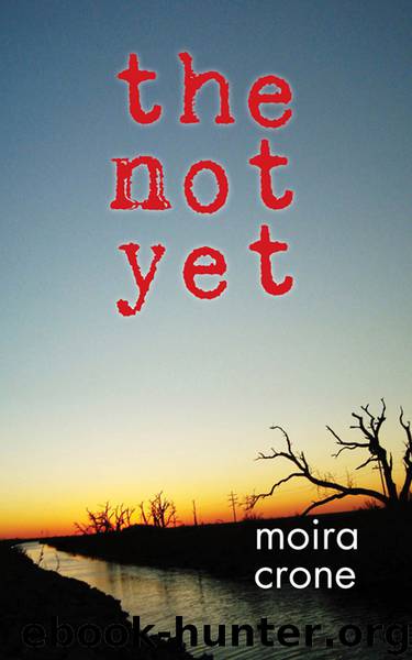 The Not Yet by Moira Crone