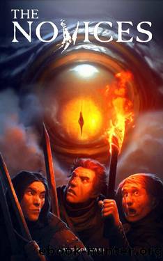 The Novices (Last Reaches Book 1) by David Goldfarb