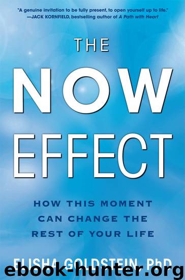 The Now Effect by Elisha Goldstein
