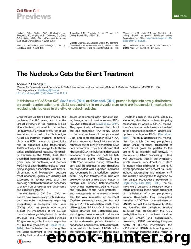 The Nucleolus Gets the Silent Treatment by Andrew P. Feinberg