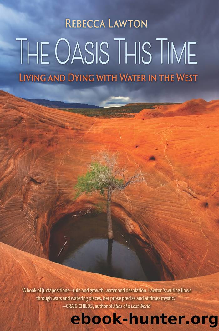 The Oasis This Time by Rebecca Lawton