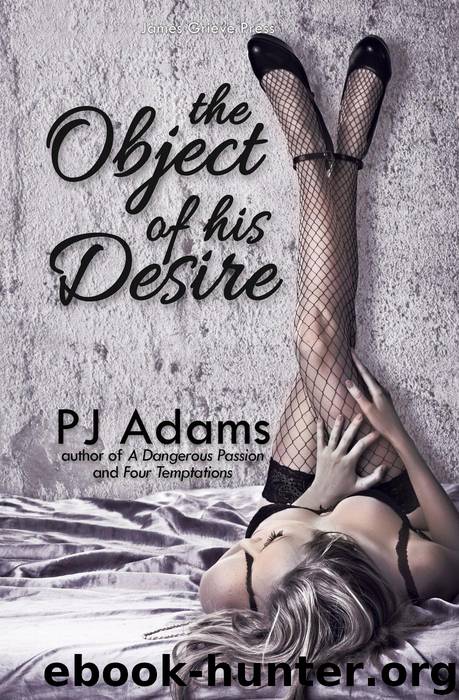 The Object of His Desire (erotic romance suspense) by PJ Adams