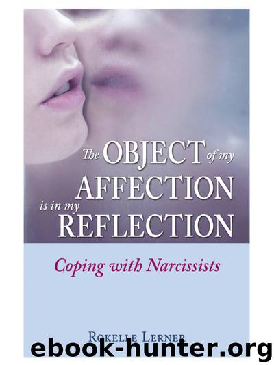 The Object of My Affection Is in My Reflection by Rokelle Lerner