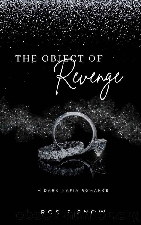 The Object of Revenge: A Dark Mafia Romance by Rosie Snow