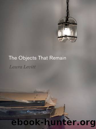 The Objects That Remain by Laura Levitt
