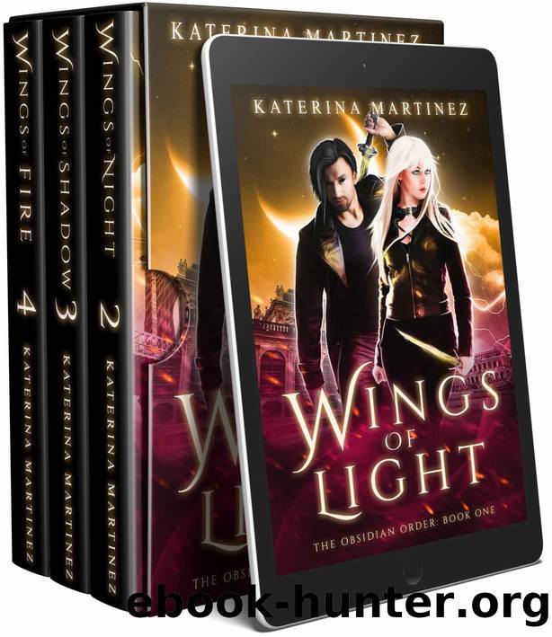 The Obsidian Order Boxed Set by Martinez Katerina