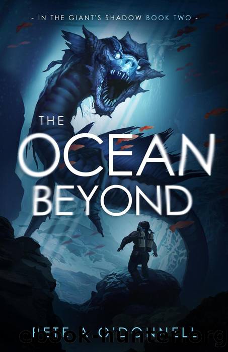 The Ocean Beyond by Pete A O'Donnell