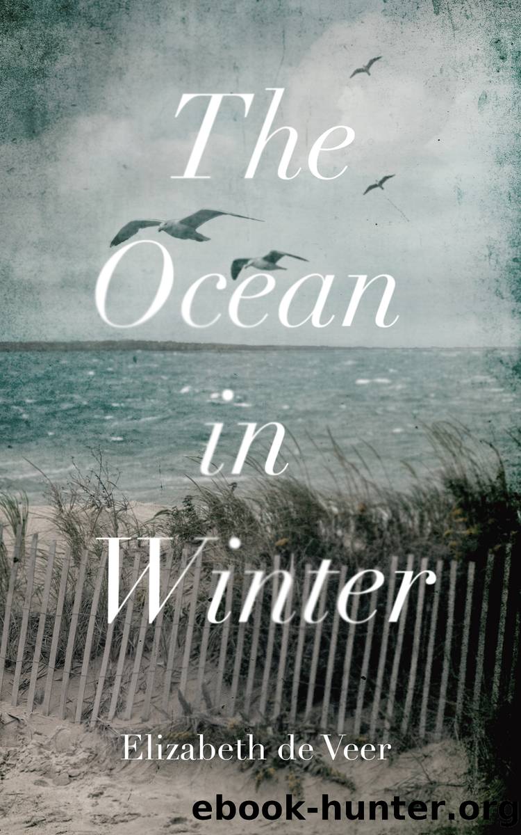 The Ocean in Winter by Elizabeth de Veer