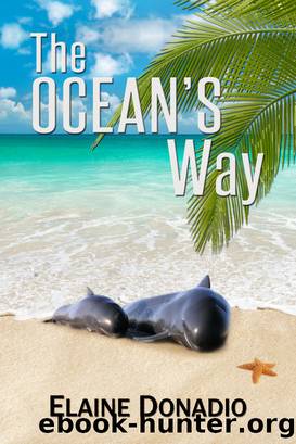 The Ocean's Way by Elaine Donadio