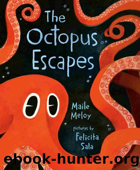 The Octopus Escapes by Maile Meloy