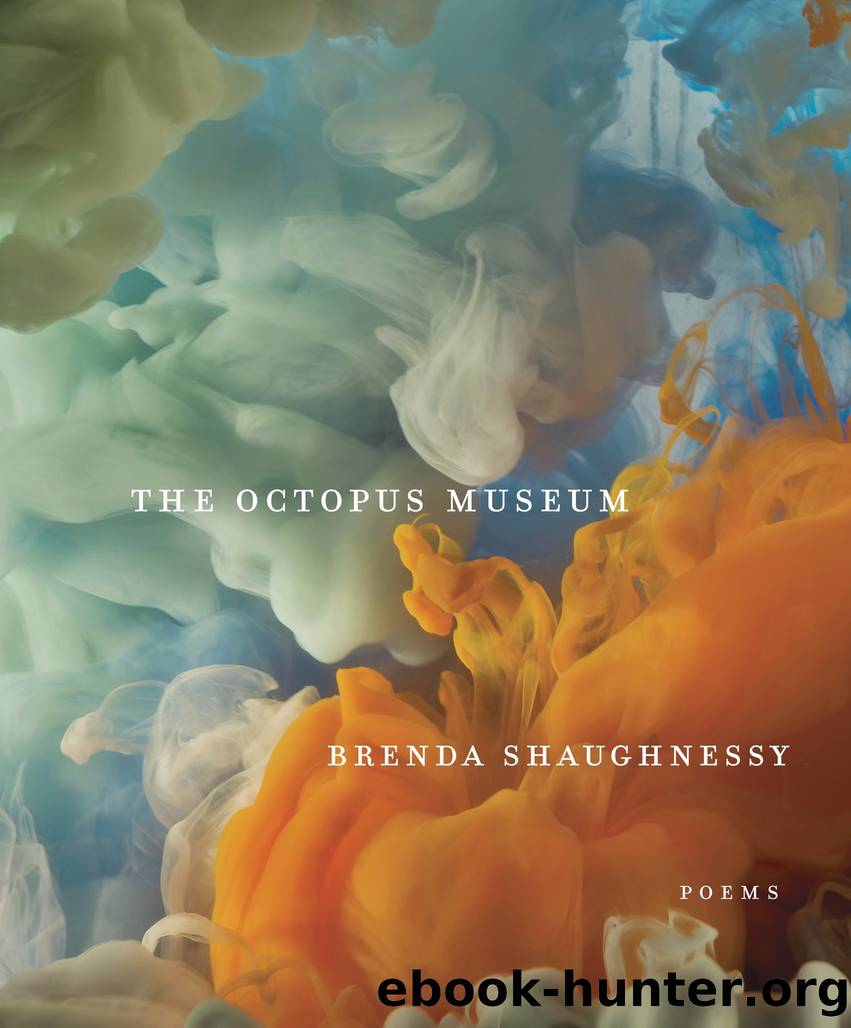 The Octopus Museum by Brenda Shaughnessy;