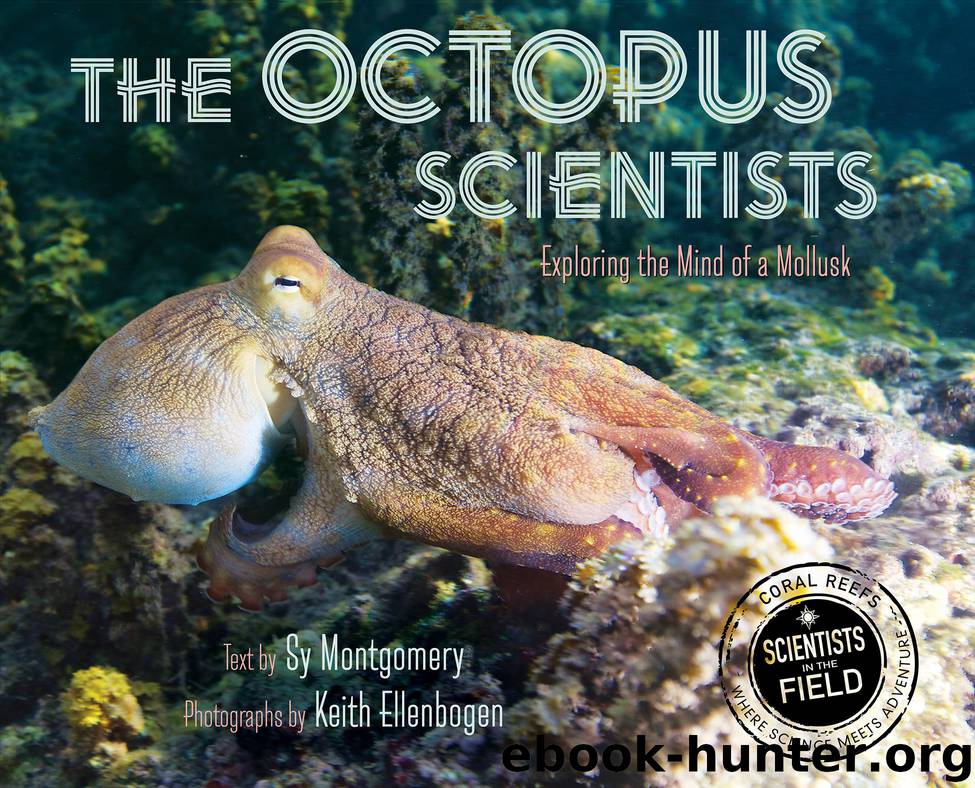 The Octopus Scientists by Sy Montgomery