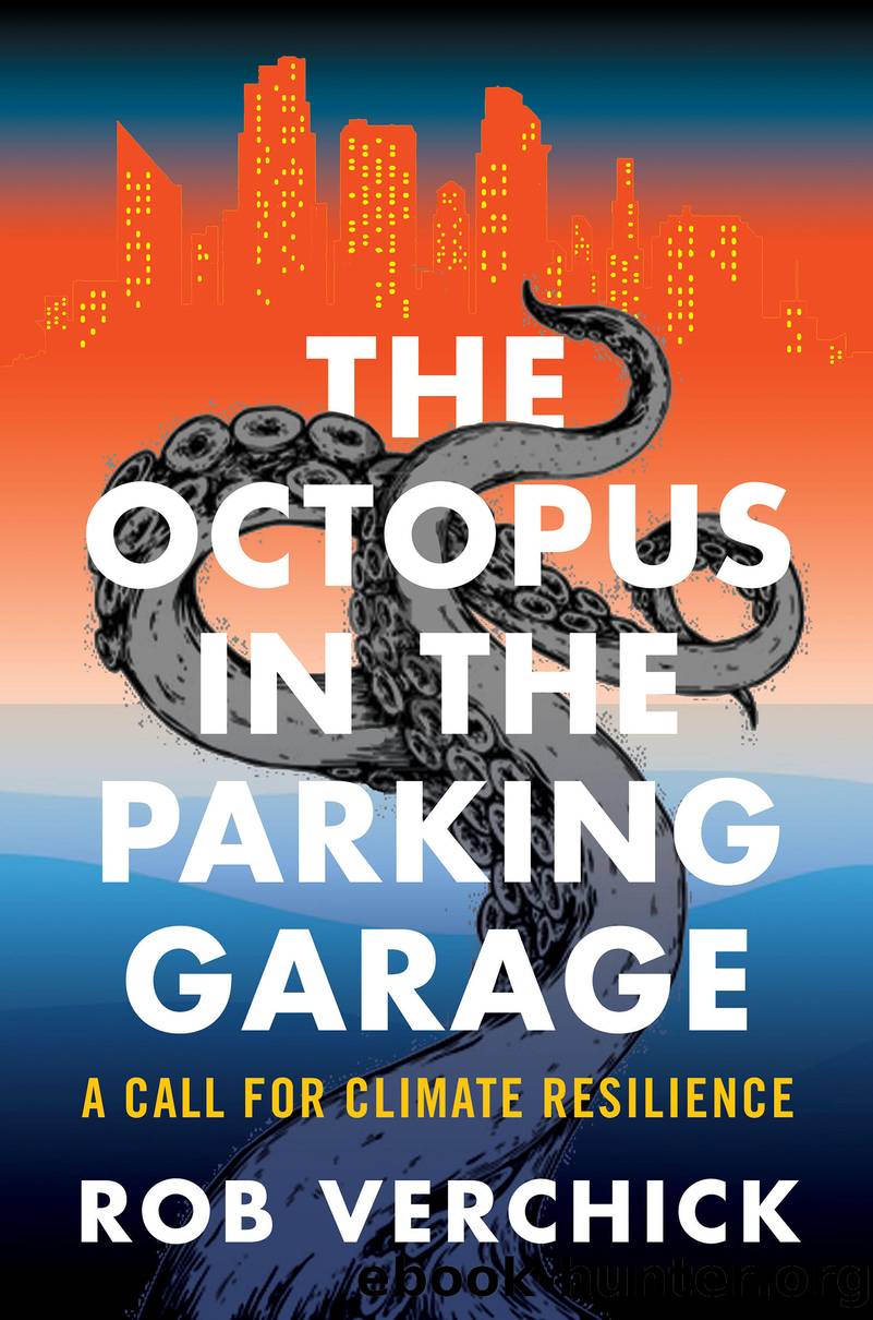 The Octopus in the Parking Garage by Rob Verchick