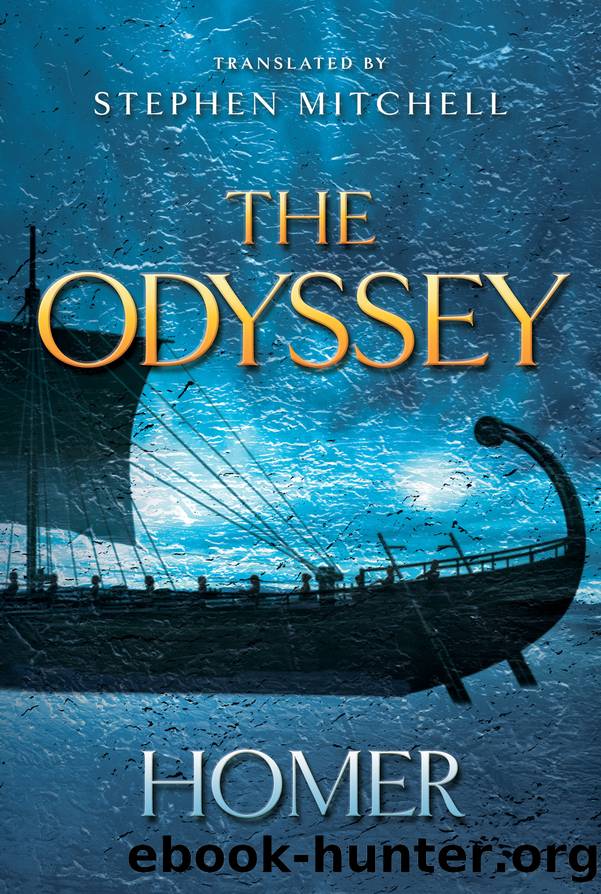 The Odyssey by Stephen Mitchell