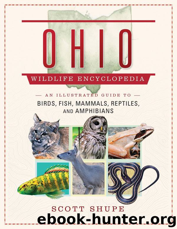 The Ohio Wildlife Encyclopedia by Scott Shupe