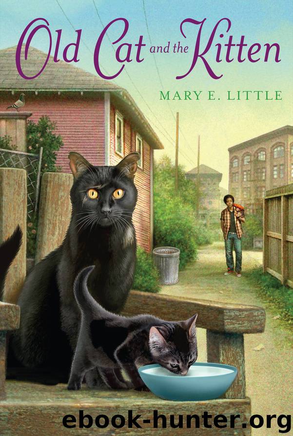 The Old Cat and the Kitten by Mary E. Little