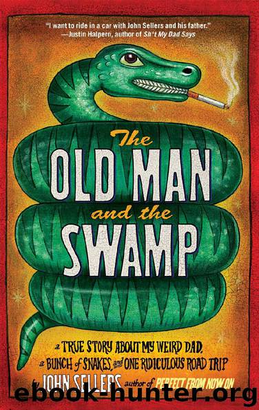 The Old Man and the Swamp by John Sellers