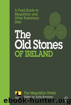 The Old Stones of Ireland by Andy Burnham