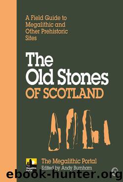The Old Stones of Scotland by Burnham Andy