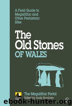 The Old Stones of Wales by Andy Burnham