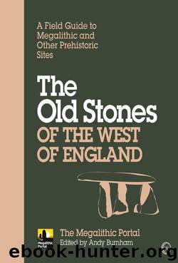 The Old Stones of the West of England by Andy Burnham