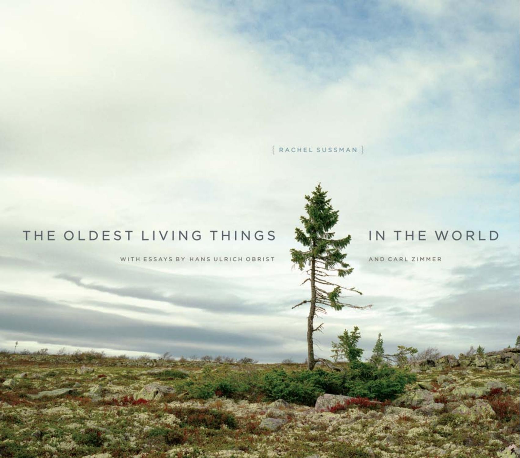 The Oldest Living Things in the World by unknow
