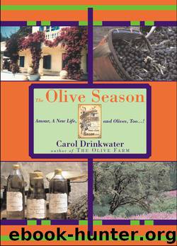 The Olive Season by Carol Drinkwater