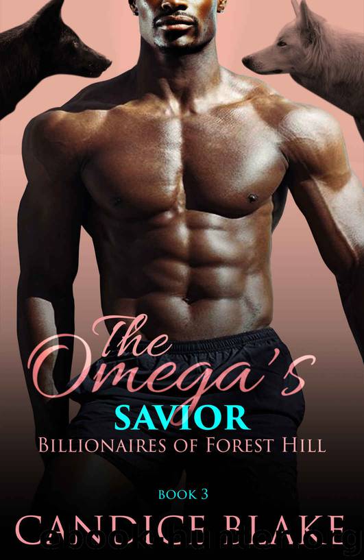 The Omega’s Savior: Billionaires of Forest Hill Book 3 by BLAKE CANDICE