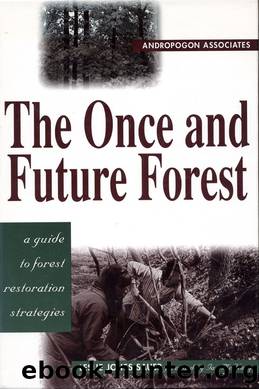 The Once and Future Forest by Leslie Sauer
