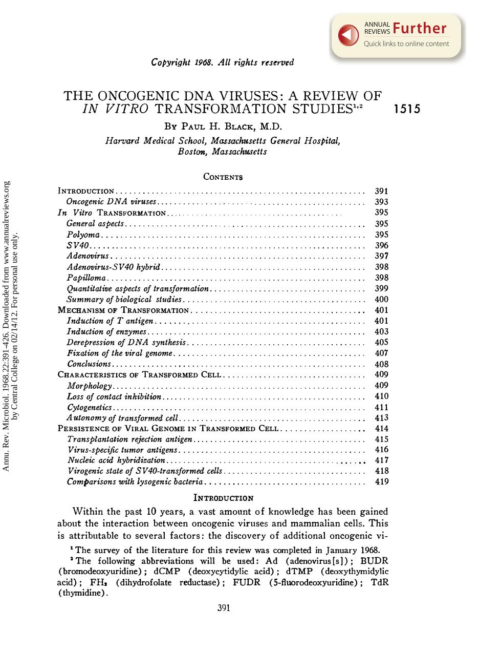 The Oncogenic DNA Viruses: A Review of in Vitro Transformation Studies by P H Black