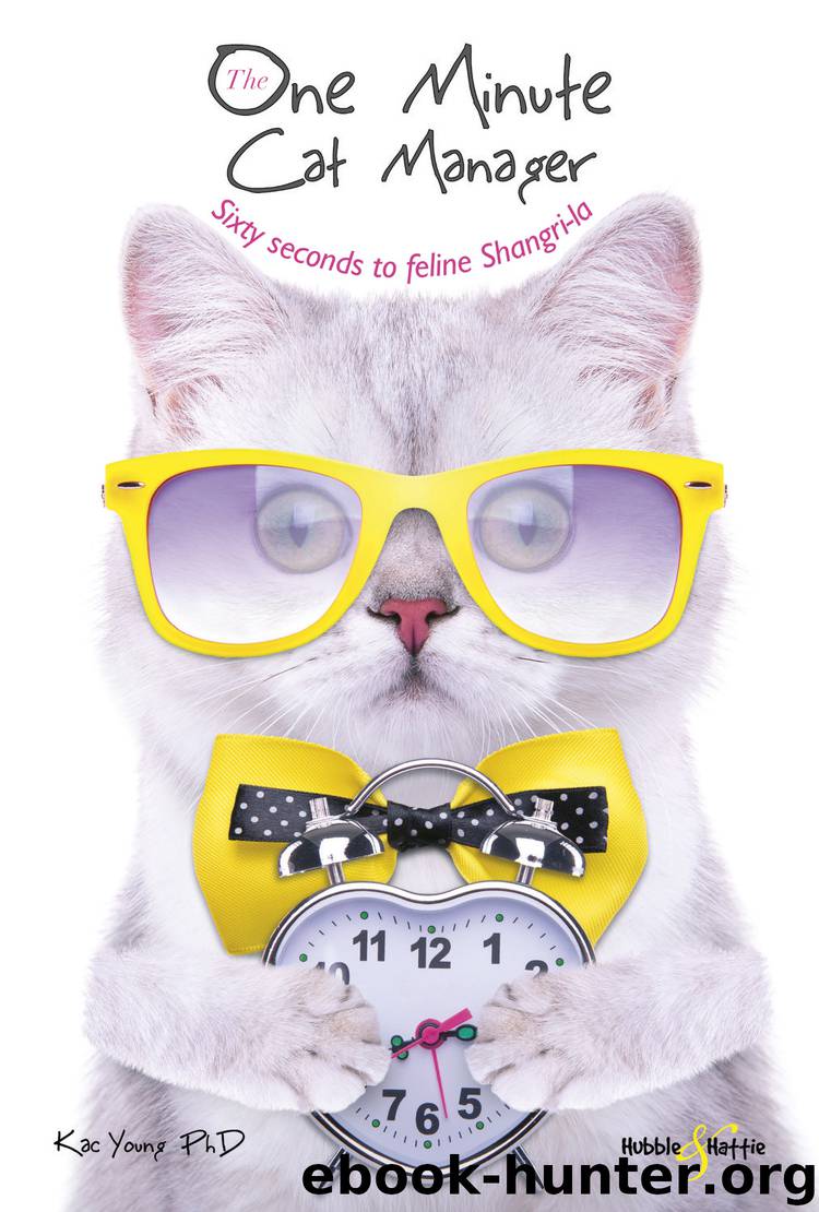 The One Minute Cat Manager by Kac Young