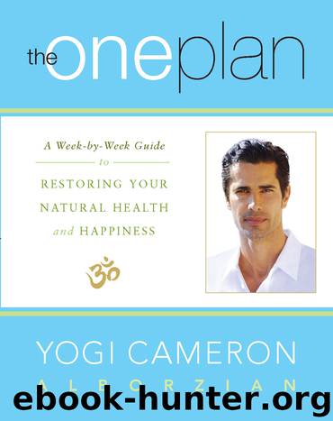 The One Plan by Yogi Cameron Alborzian