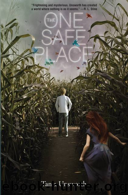The One Safe Place by Tania Unsworth