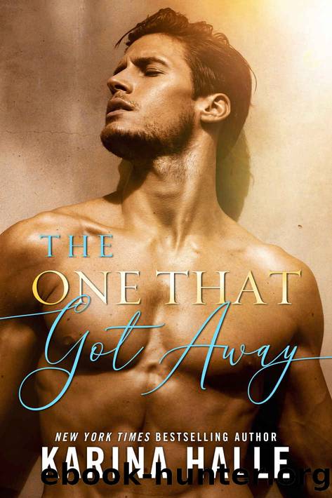 The One That Got Away: A Novel by Halle Karina