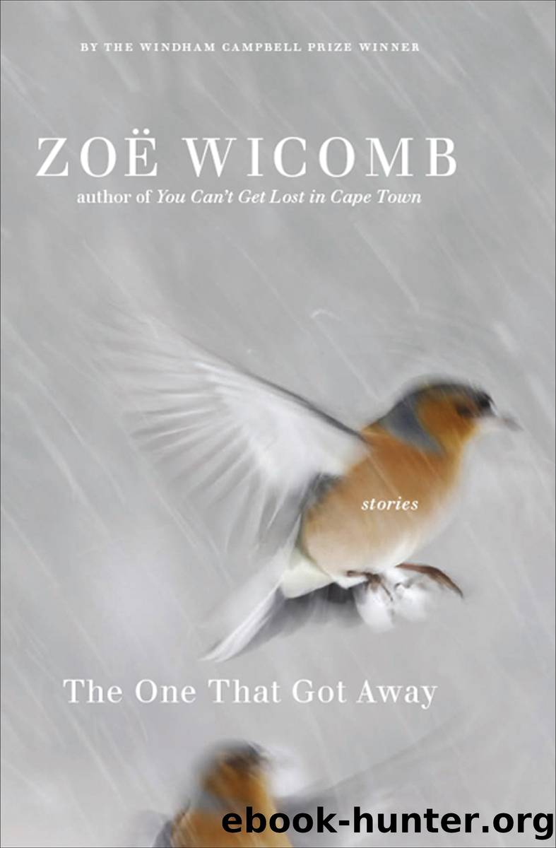 The One That Got Away: Stories by Zoë Wicomb