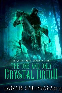 The One and Only Crystal Druid (The Guild Codex: Unveiled Book 1) by Annette Marie