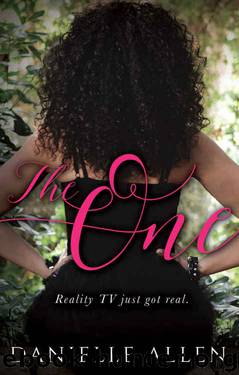 The One by Danielle Allen