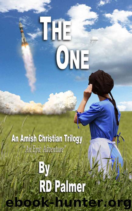 The One by R D Palmer