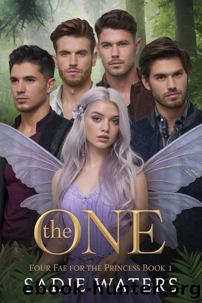 The One by Sadie Waters